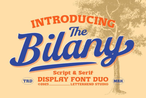 The Bilany: A Font Duo for Vintage and Adventure Design